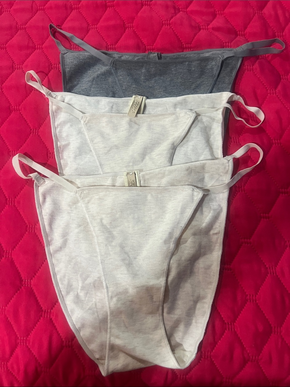 SKIMS Bikini Panties - Gray & Tan (3-Pack) NWOT